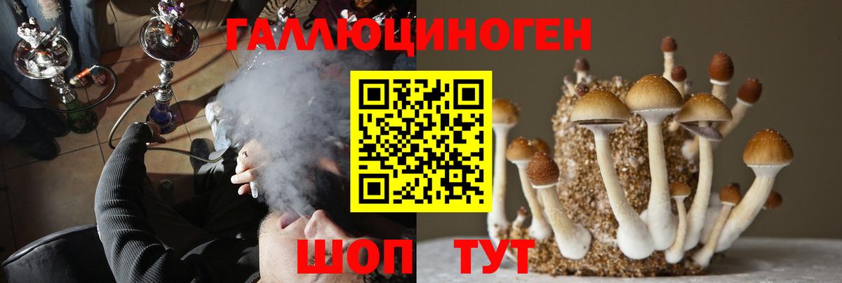 Магадан  Псилоцибиновые грибы прущие грибы  где можно купить   Вход с VPN 
